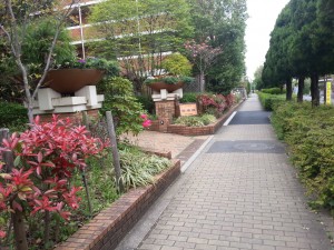 20150419_113408