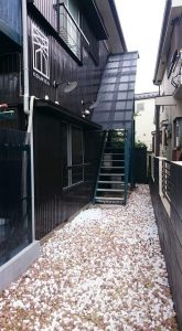 FB_IMG_1469143099545